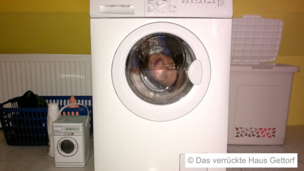 Das verrückte Haus Gettorf
